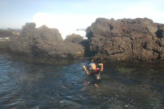 Snorkeling Experience in Terceira, Azores - Key Points