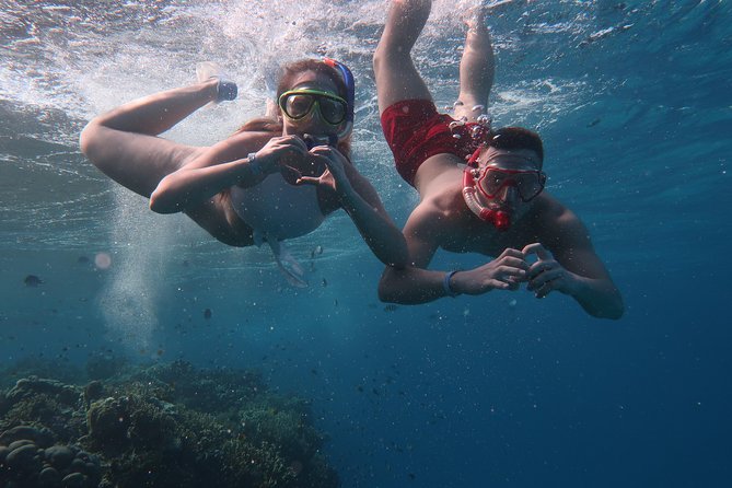 Snorkeling Trip in Red Sea - Support and Information Resources