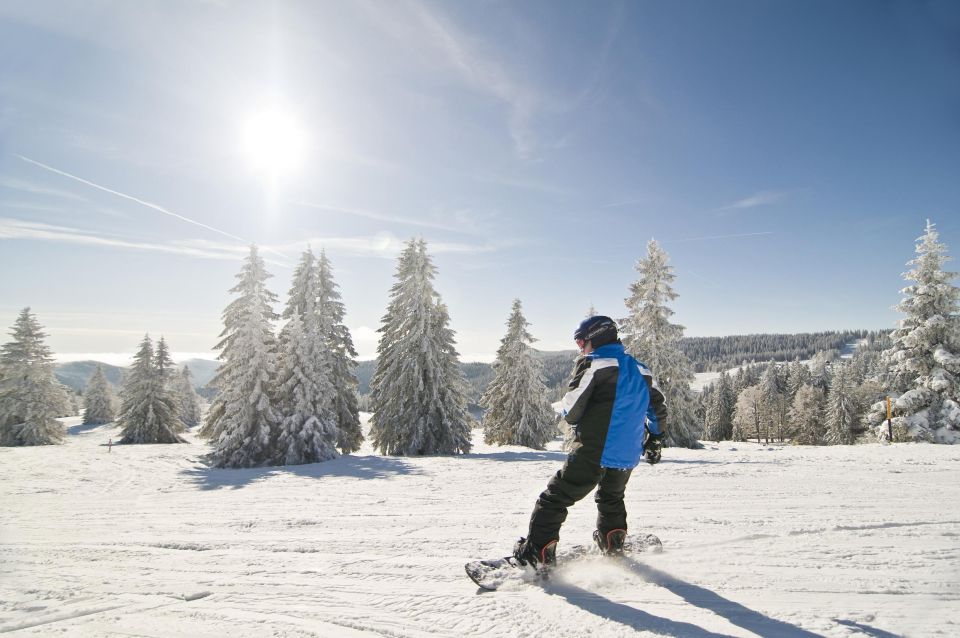 Snowboard Lessons (From 13 Y) for First Timers at Feldberg - Key Points