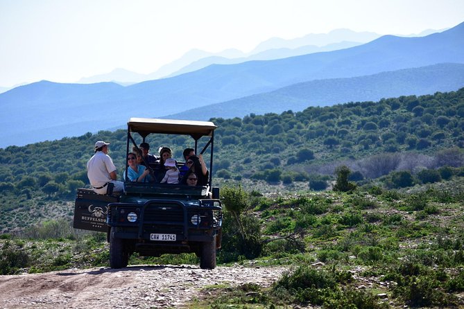 South African Bush Safari in Oudtshoorn  - Western Cape - Key Points