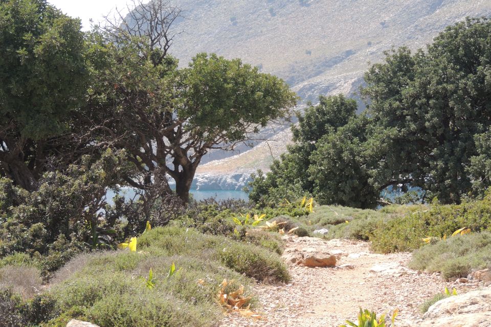 South Eastern Crete & Sarakinas Gorge Day Tour - Tour Details