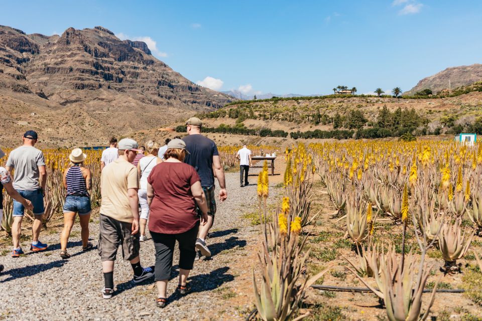 South Gran Canaria: Off-Road Valleys & Villages Jeep Tour - Key Points