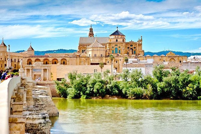 Spain Full-Day Tour to Cordoba From Seville - Key Points