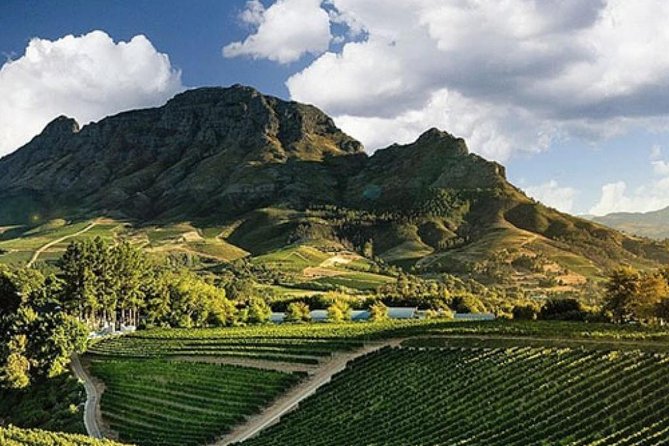 Splendour in the Winelands – Private Tour