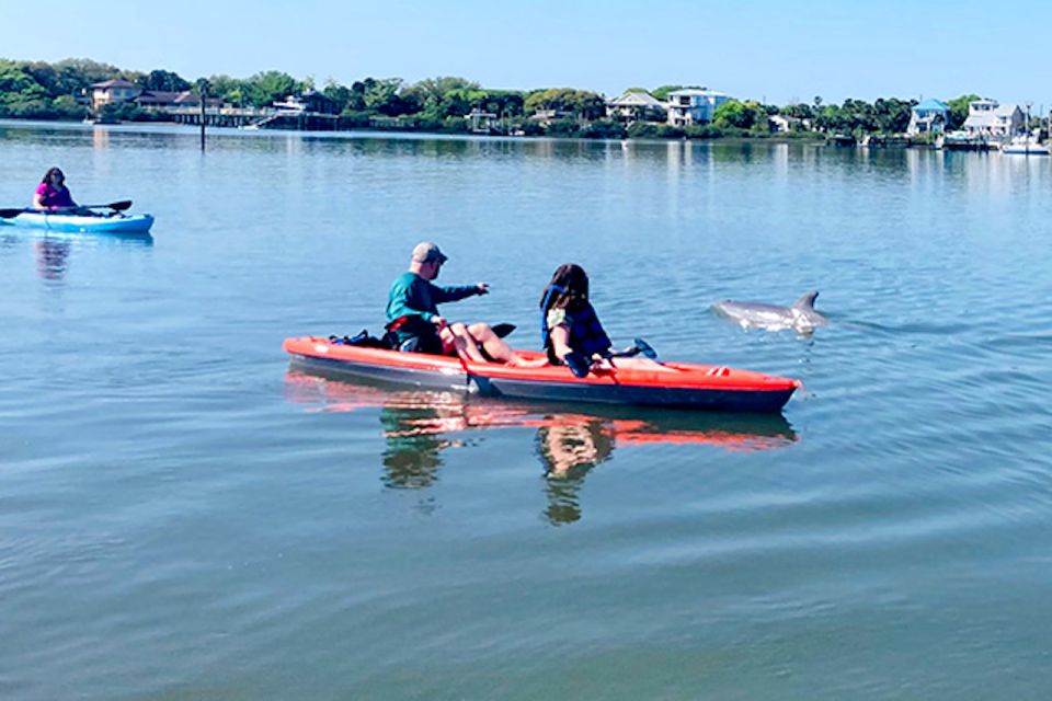 St. Augustine: Dolphin and Manatee Paddle or Kayak Tour - Key Points
