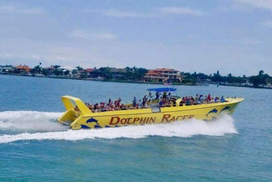 St. Pete Beach: Dolphin Racer Cruise by Speedboat - Key Points