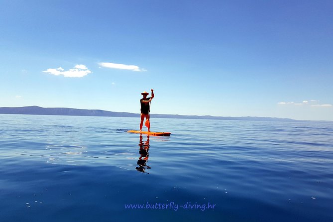 Stand up Paddling Board for 2 Hours Rental - Key Points
