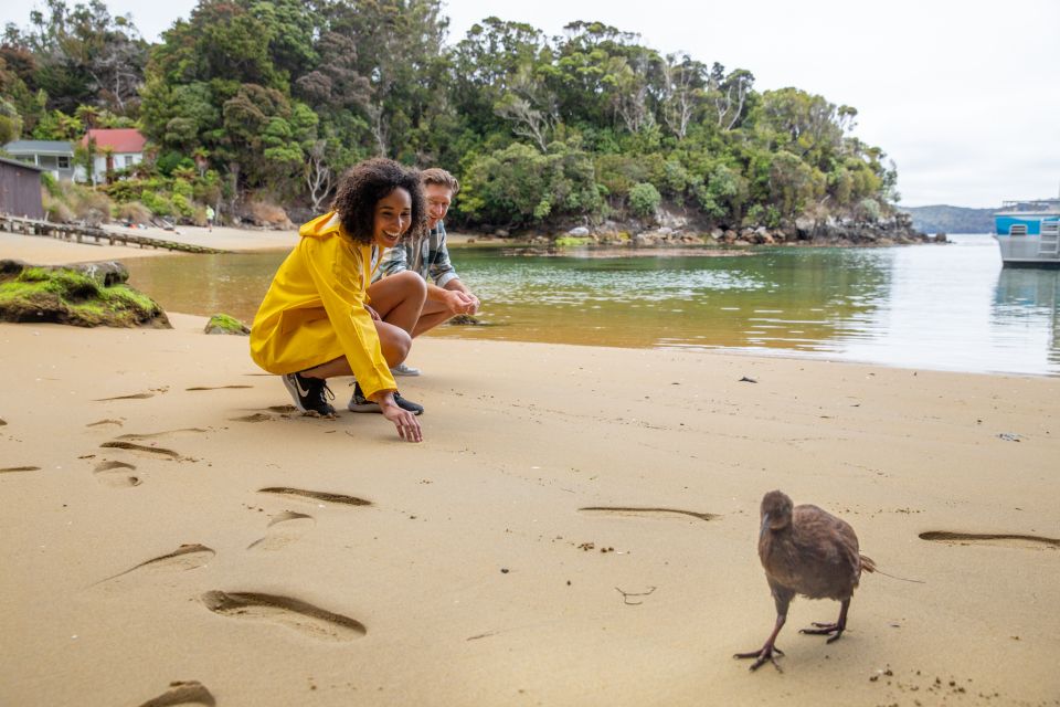 Stewart Island: Ulva Island Guided Wilderness Walk & Cruise - Key Points