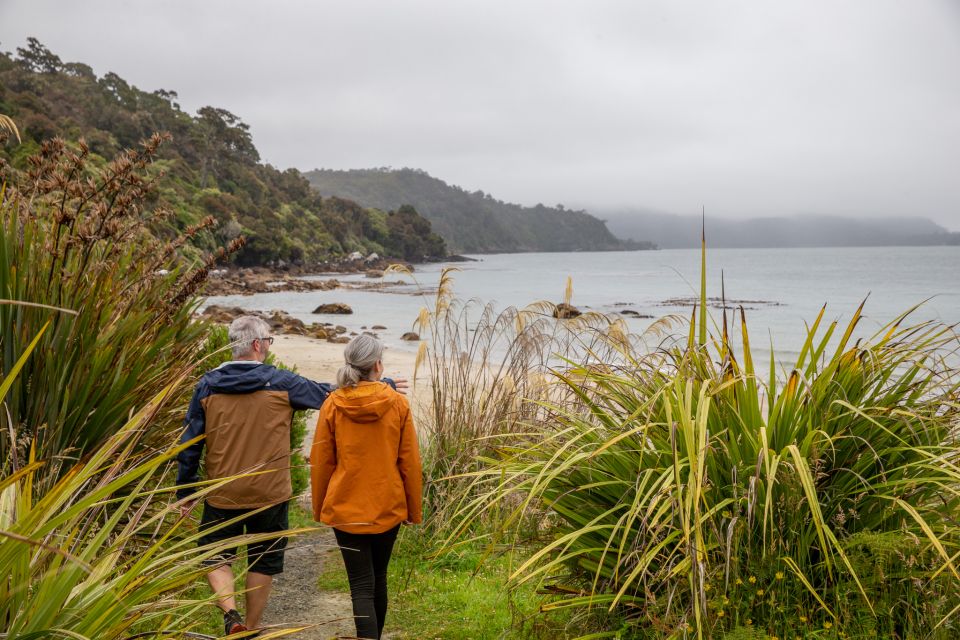 Stewart Island: Village and Bays Tour - Key Points