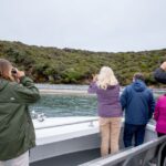 stewart island wild kiwi encounter 2 Stewart Island: Wild Kiwi Encounter