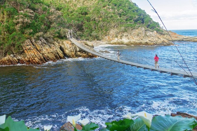 Storms Rivier 1-Hour Guided Segway Experience  - Tsitsikamma National Park - Key Points