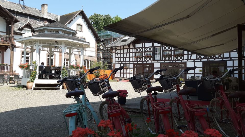 Strasbourg: Bike Tour With a Guide - Key Points