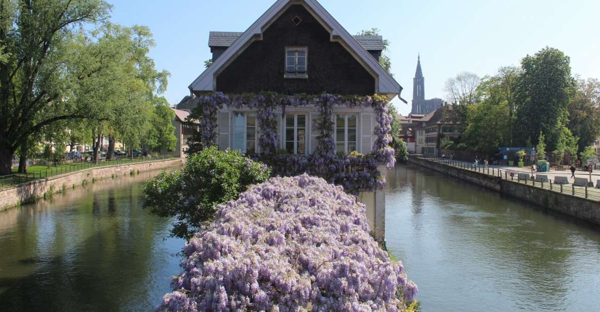 Strasbourg: Walking Tour With Local Guide - Key Points