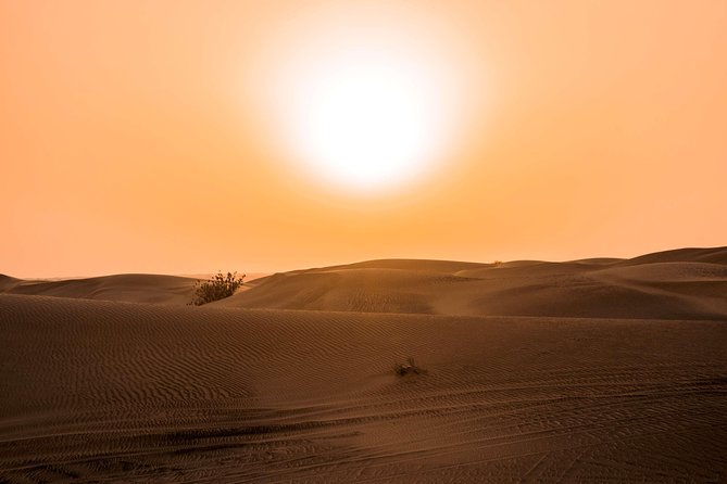 Sundowner Dune Safari With Dinner - Key Points