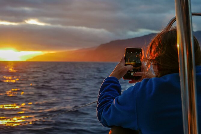 Sunset Catamaran Tour L Madeira Island - Key Points