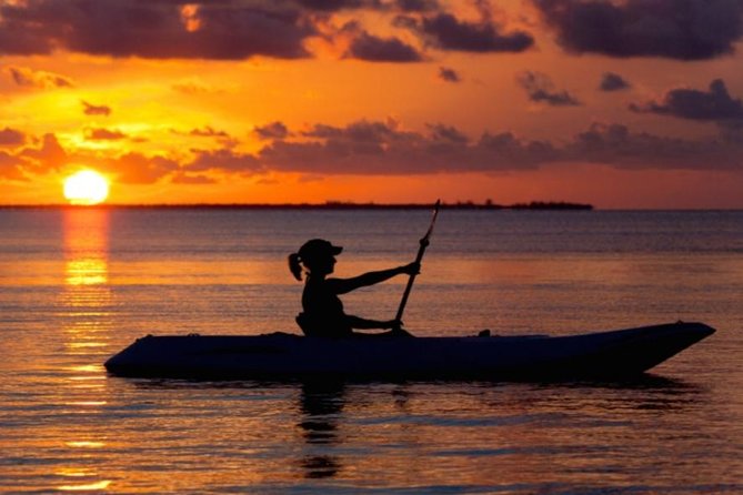 Sunset Kayaking W/ Florida Bioluminescence Combo Tour Haulover Canal - Tour Highlights