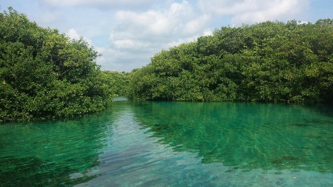 SUP Cenote Tour- Paddleboard & Snorkel Adventure in Tulum - Key Points