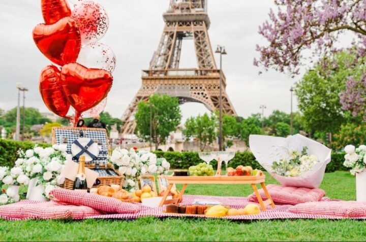 Surprise Proposal Picnic - Paris Proposal Planner - Key Points