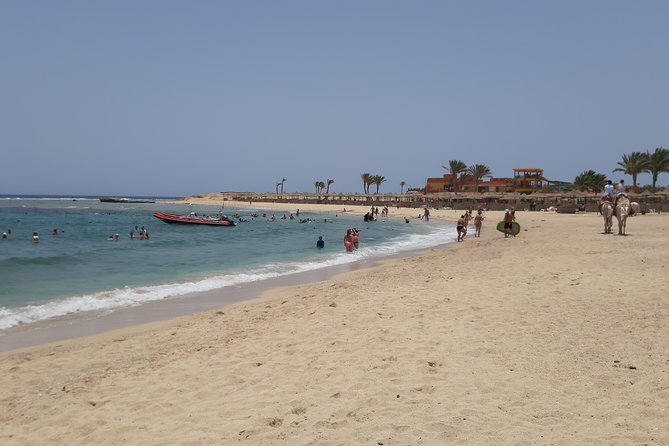 Swim Alongside Sea Turtles in Abu Dabbab, Marsa Alam  - Safaga - Key Points