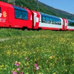 swiss travel pass unlimited travel on train bus boat Swiss Travel Pass: Unlimited Travel on Train, Bus & Boat