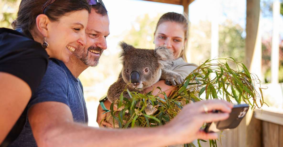 Sydney: Private Wildlife, Waterfalls and Wine Tour - Key Points