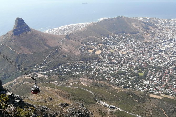 Table Mountain,Cape Point,Penguins& Chapmans Peak Shared Tour - Review Process and Quality Assurance