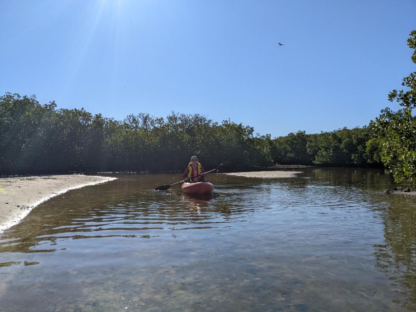 Tarpon Springs: Guided Anclote River Kayaking Tour - Key Points