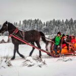 tatra mountain sleigh ride in zakopane from krakow Tatra Mountain Sleigh Ride in Zakopane From Kraków