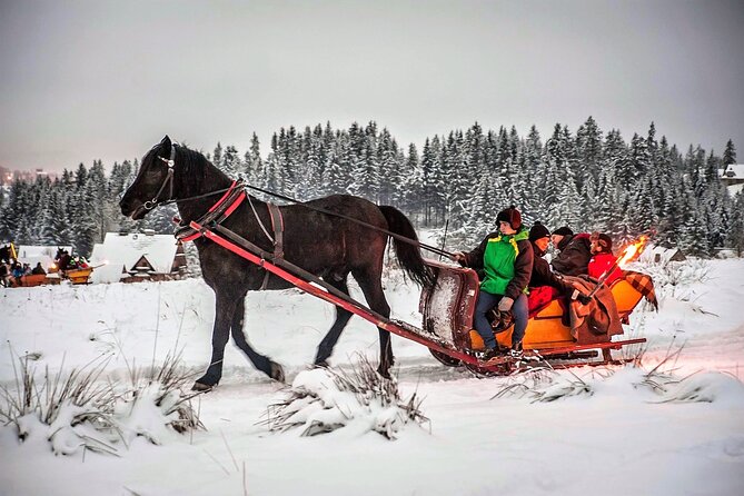 Tatra Mountain Sleigh Ride in Zakopane From Kraków - Key Points