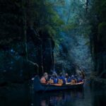 tauranga guided glowworm tour in a canoe Tauranga: Guided Glowworm Tour in a Canoe