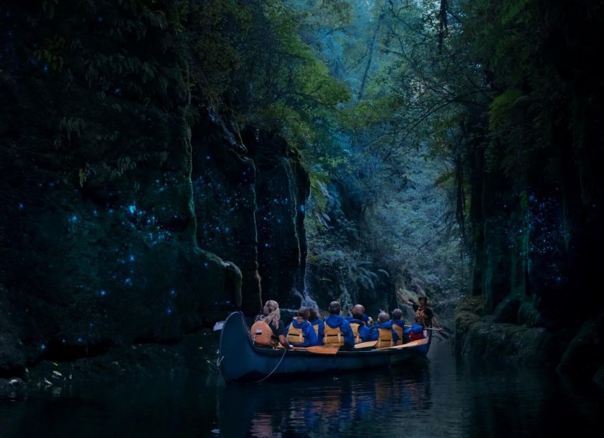 tauranga guided glowworm tour in a canoe Tauranga: Guided Glowworm Tour in a Canoe