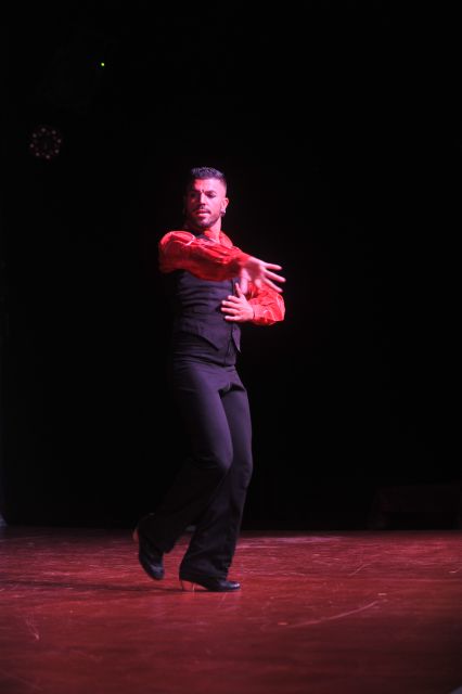 Tenerife: Flamenco Performance at Teatro Coliseo - Key Points