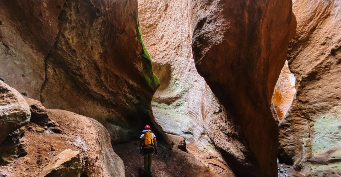 Tenerife: Guided Canyoning Experience in Los Arcos - Key Points