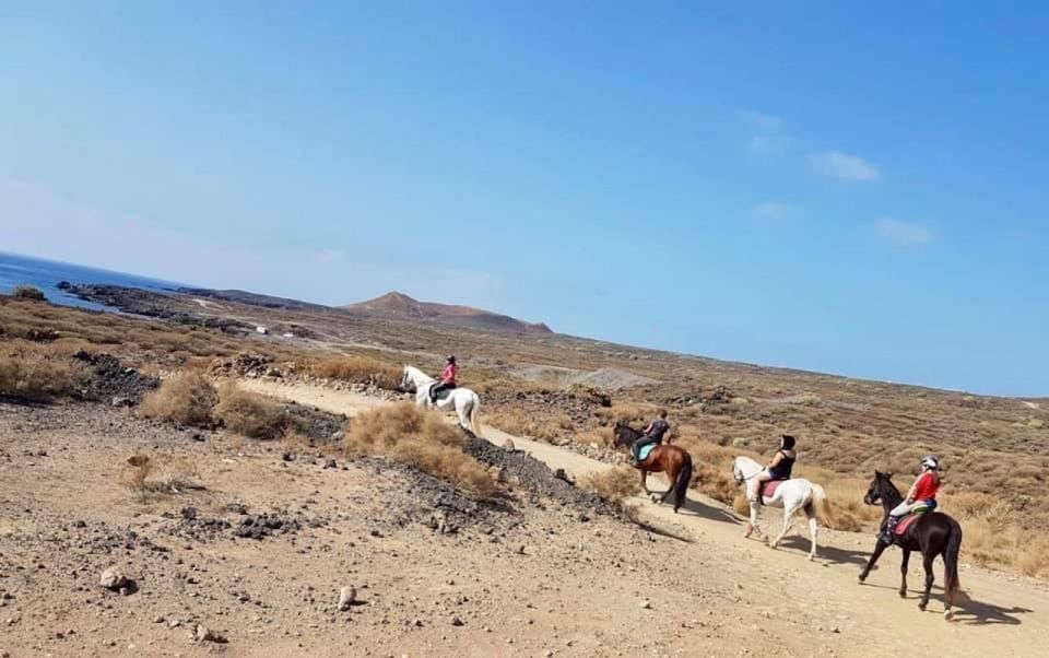 Tenerife: Horseback Ride With Instructor - Key Points