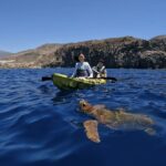 tenerife kayak and snorkel with turtles Tenerife: Kayak and Snorkel With Turtles