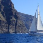 tenerife los gigantes whale watching cruise by sail boat Tenerife: Los Gigantes Whale Watching Cruise by Sail Boat