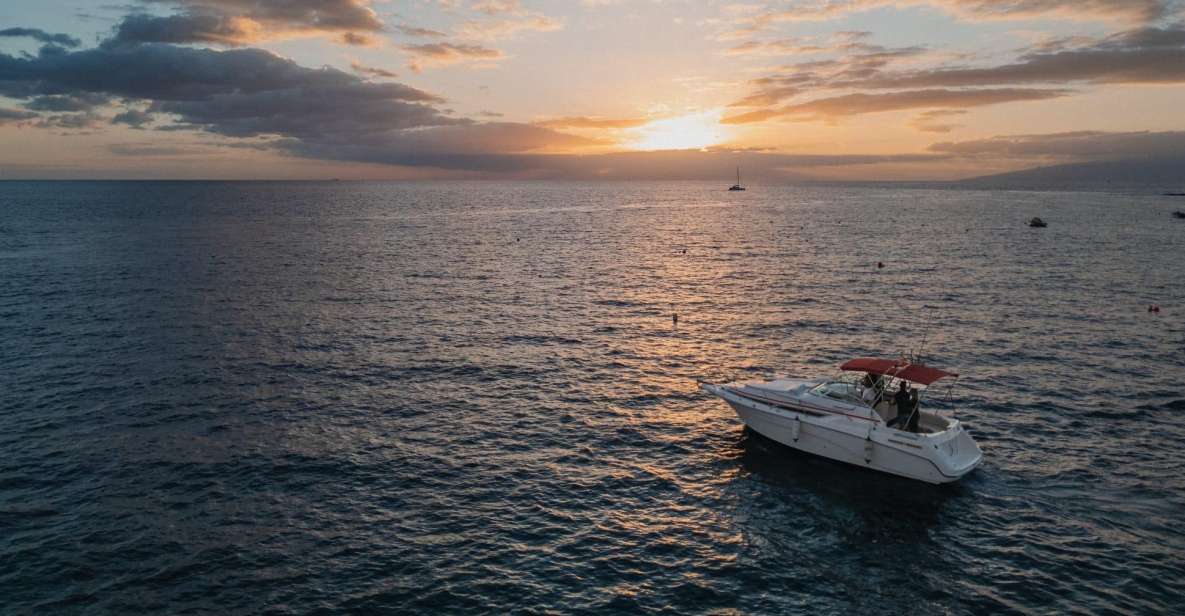Tenerife: Private Luxury Sunset Boat Experience - Key Points
