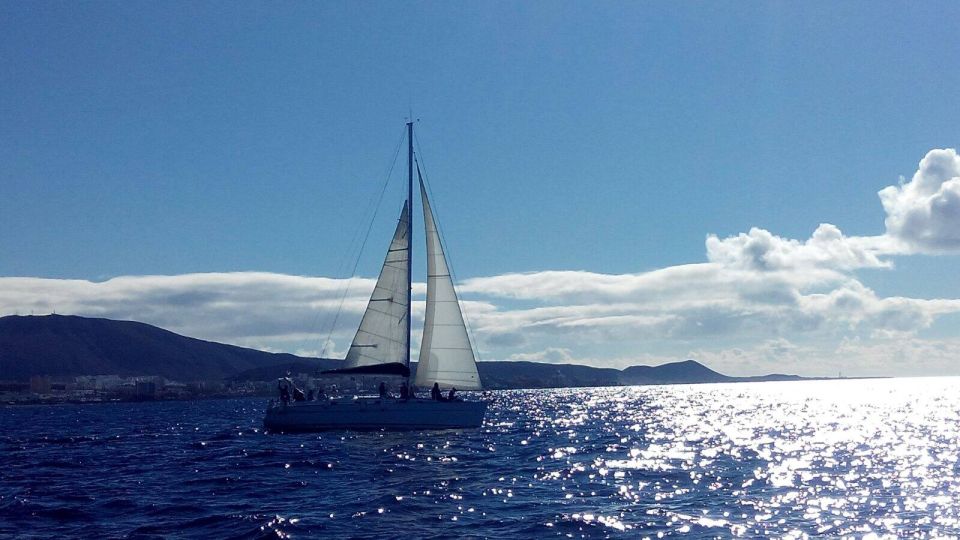 tenerife private or group 3 hour sailing cruise with drinks Tenerife: Private or Group 3 Hour Sailing Cruise With Drinks