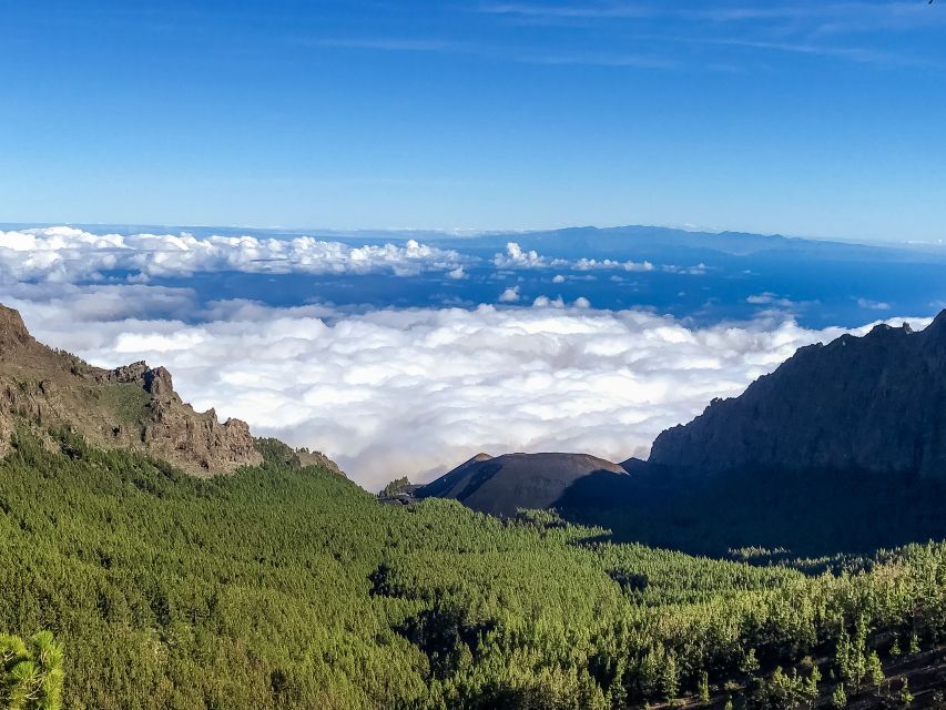 Tenerife Private Tour: Teide and Flavors of The North - Key Points