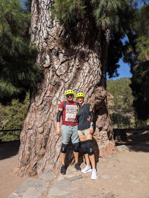 Tenerife: Scenic Biking Tour With Wine and Cheese - Key Points