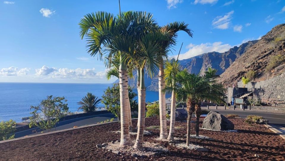 Tenerife: Teide National Park and Masca, Shared Tour (South) - Key Points