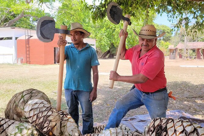 Tequila Tasting and Tour at Puerto Vallarta Distillery - Key Points