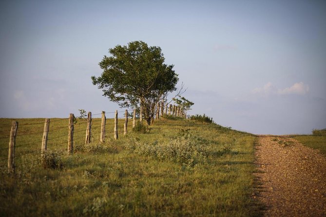 Texas Hill Country Olive Oil and Balsamic Vinegar Tasting - Key Points