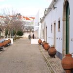 the algarve the culture and cuisine of barrocal full day tour portimao The Algarve: The Culture and Cuisine of Barrocal Full-Day Tour - Portimao