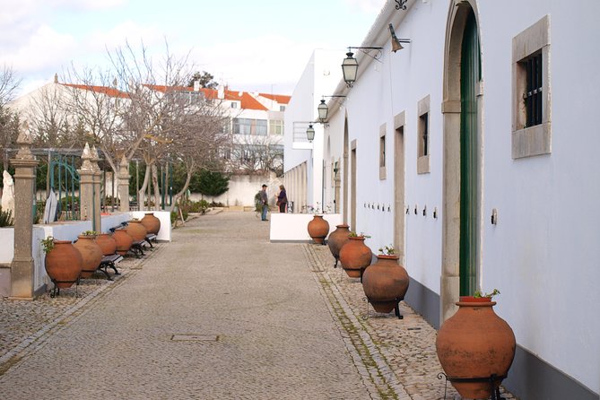 The Algarve: The Culture and Cuisine of Barrocal Full-Day Tour  - Portimao - Key Points
