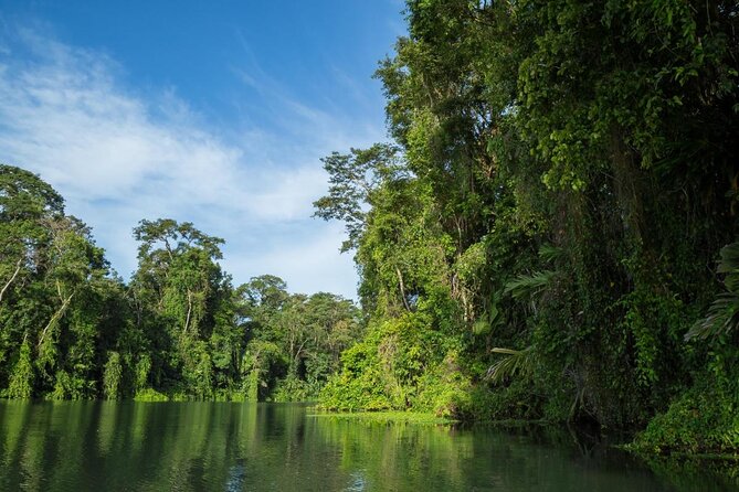 The Authentic Tortuguero National Park One Day Tour - Key Points