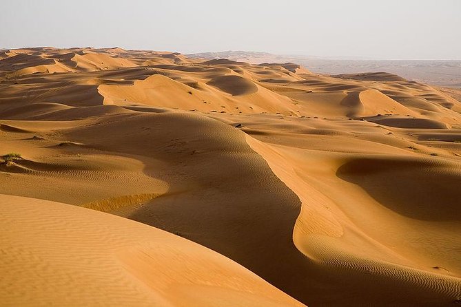 The Best Dubai Desert Safari With Quad Biking & Dune Bashing & BBQ & Live Show - Key Points