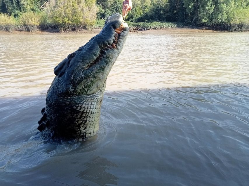The Best Tour of Litchfield and Crocodiles on the River - Key Points