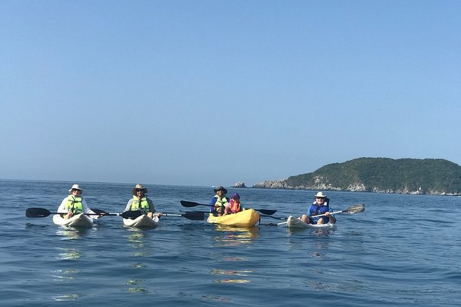 The Cats Kayaking and Snorkeling Tour - Key Points