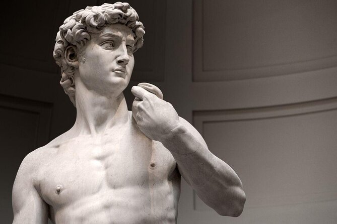 The David From Michelangelo. - Key Points